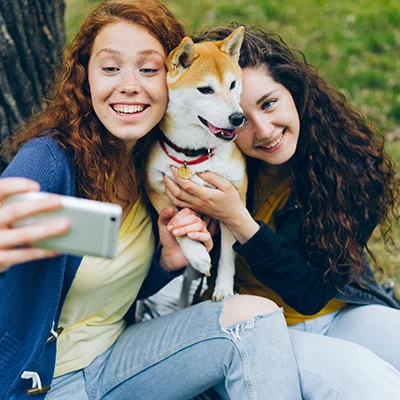 Best Buy Credit Card Payment Declined: How to Clear Holds